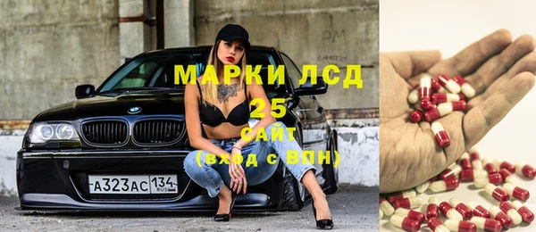 стаф Ладушкин