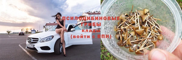 стаф Ладушкин