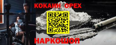 сатива Кимры