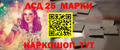 2c-b Кингисепп