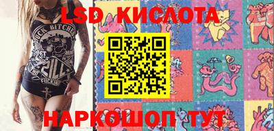 стаф Кинель