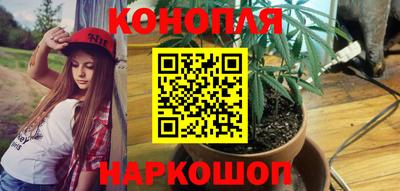 стаф Кинель