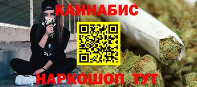 2c-b Кингисепп