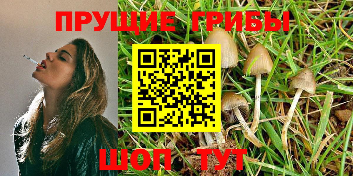 Псилоцибиновые грибы прущие грибы Чебаркуль