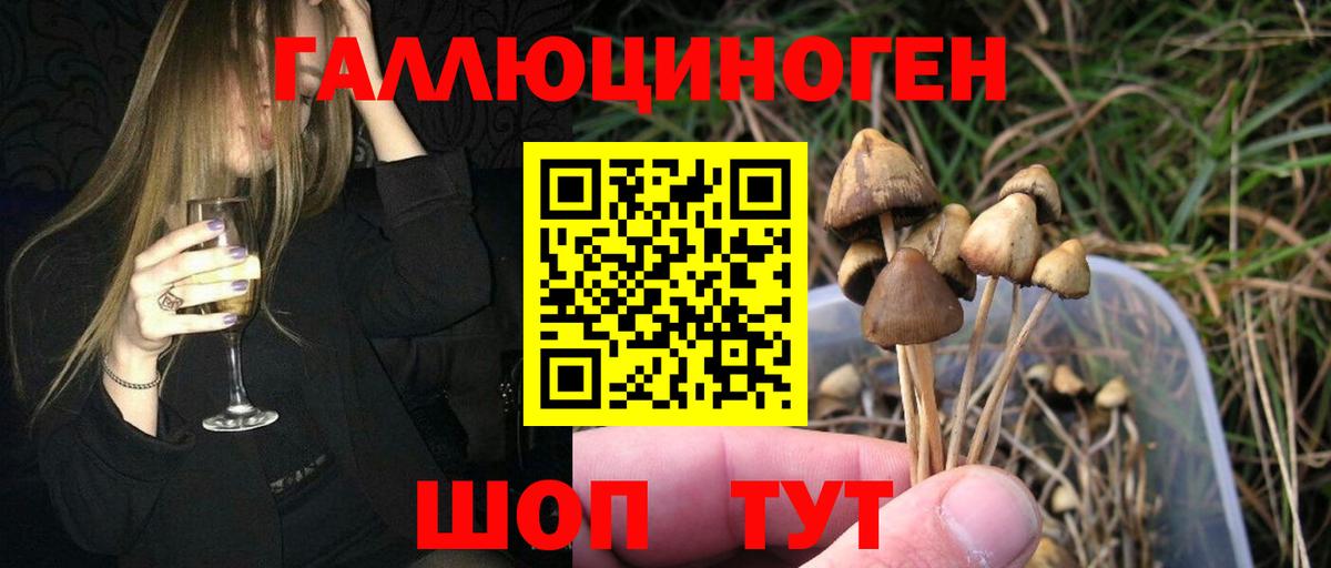 наркотики  Вход с VPN  Псилоцибиновые грибы Cubensis  Чебаркуль  Псилоцибиновые грибы мухоморы 