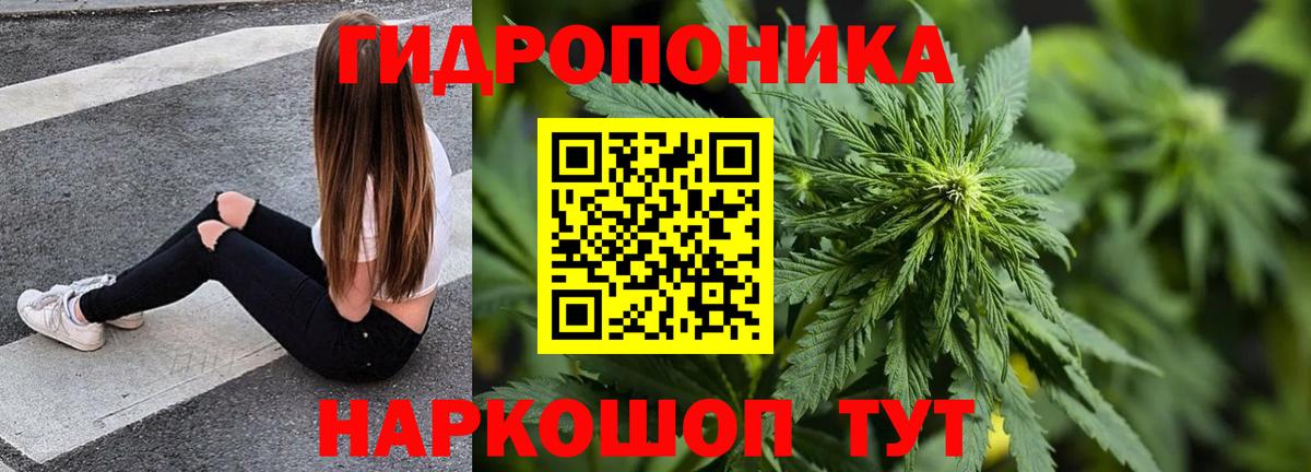 Шишки марихуана Ganja Чебаркуль